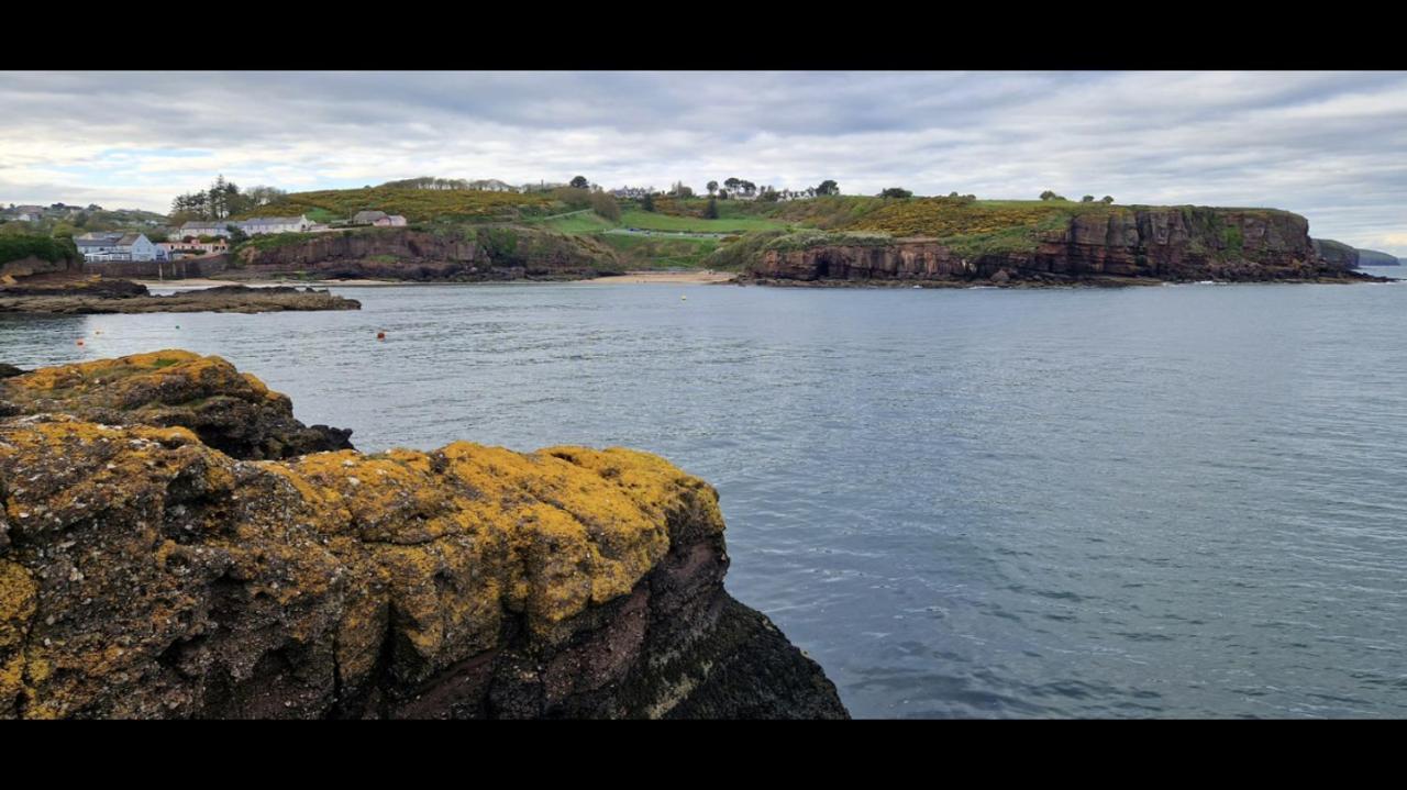 Sandy Cove Dunmore East Exterior foto